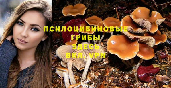 дмт Балахна